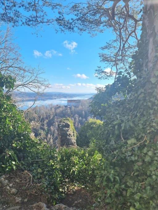 Charismatisch Und Gemuetlich In Guettingen, Nah Zum Buchensee Und Bodensee, Tolle Lage Радольфцелль  Экстерьер фото
