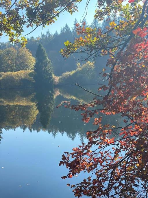 Charismatisch Und Gemuetlich In Guettingen, Nah Zum Buchensee Und Bodensee, Tolle Lage Радольфцелль  Экстерьер фото